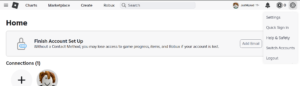 Roblox settings on website
