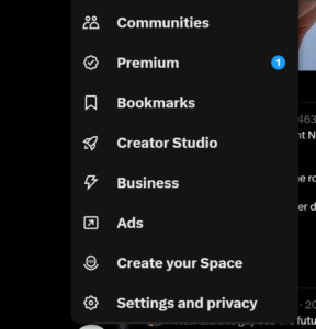 x settings and privacy